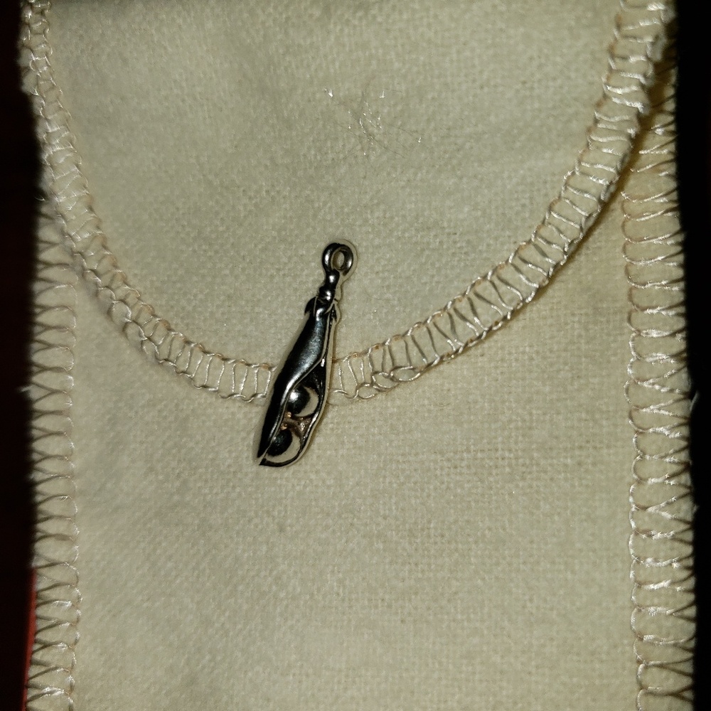 James Avery Charm